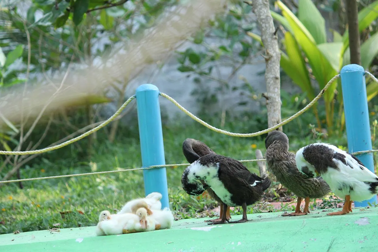 True Blue Beach Resort Varkala
